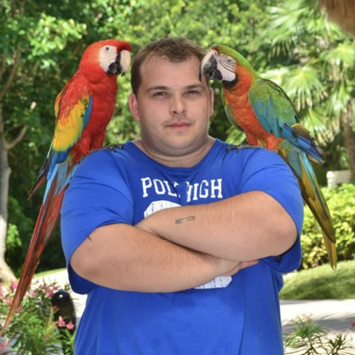 Patrick  D. profile photo