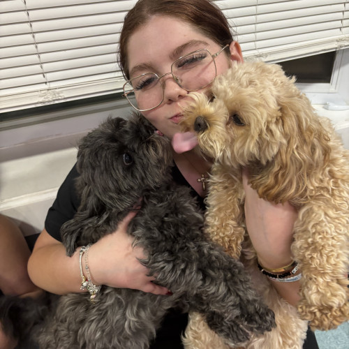 Isabella S. profile photo