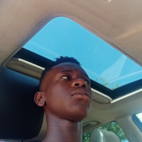Ngwenya  M. profile photo