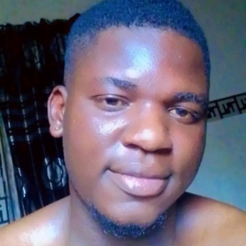 Olamide  O. profile photo