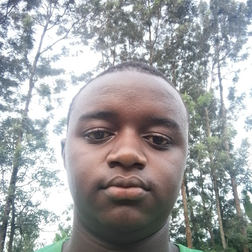 Collins M. profile photo