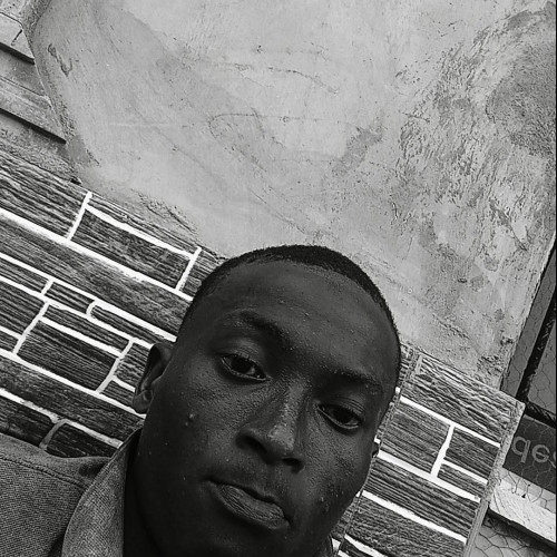 Lorenzo B. profile photo