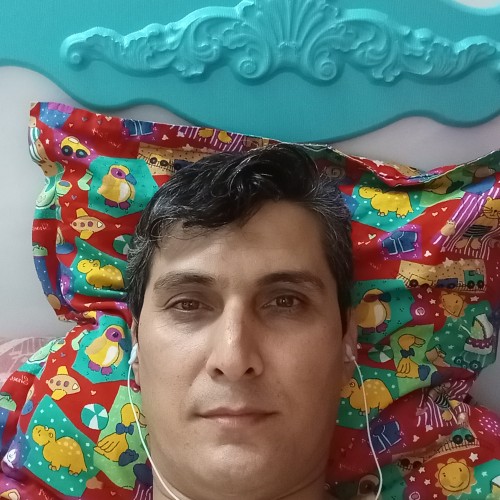 Navid K.