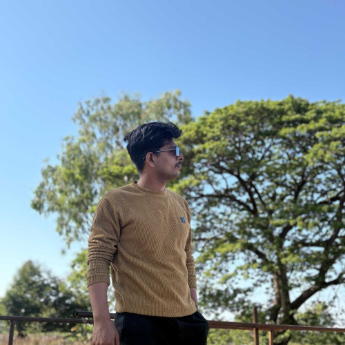 Raman t. profile photo