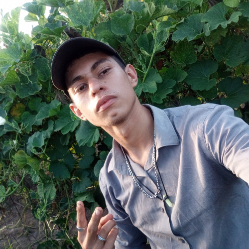 David Z. profile photo