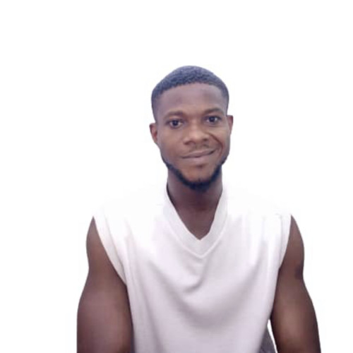 Ogbonna  I. profile photo