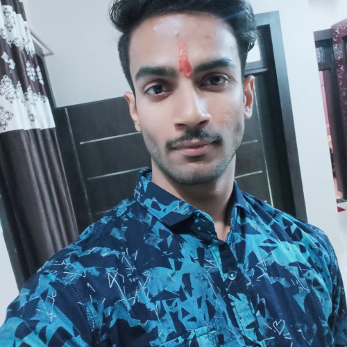 Aryan S.