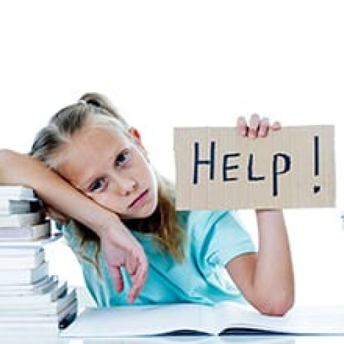 leela l. profile photo