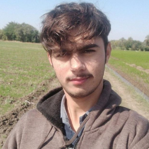 Sanjay N. profile photo