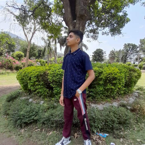 Shiv  S.