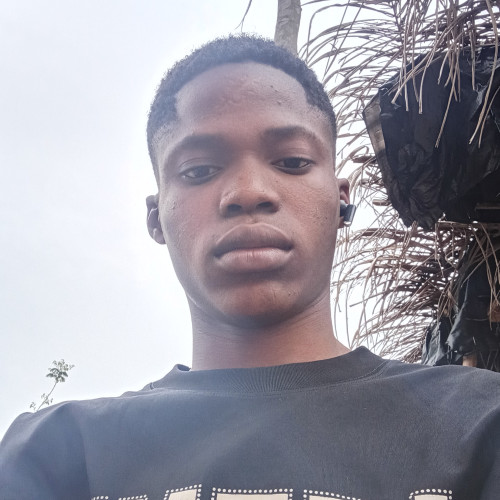 Akinyemisegun  A. profile photo