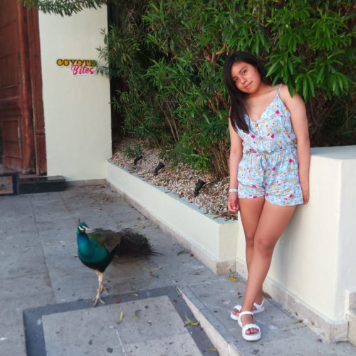 Mariana A. profile photo