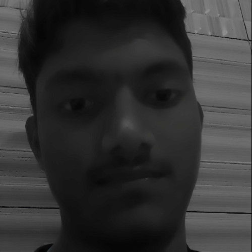 Marco D. profile photo