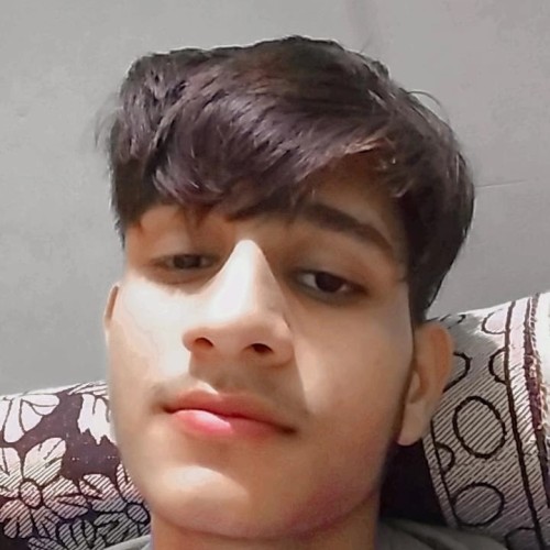 anish y. profile photo