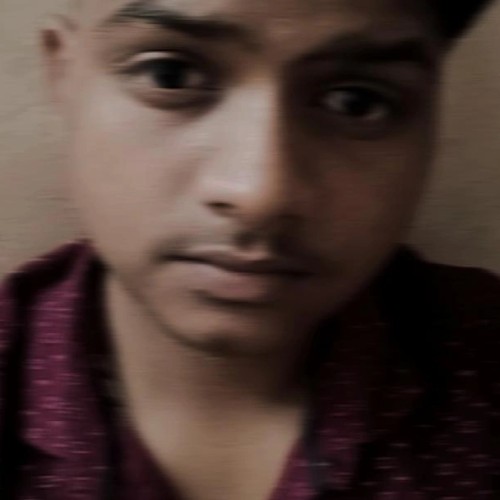 Aditya S.