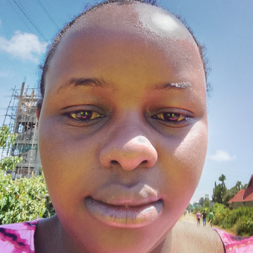 ann m. profile photo