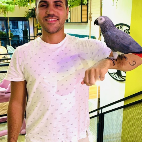 amine t. profile photo