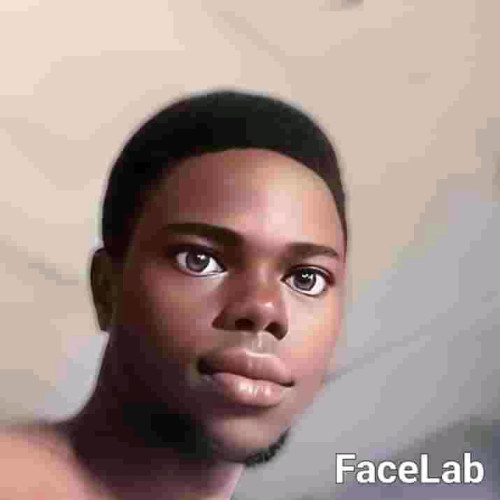 David  D. profile photo