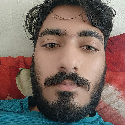 Mohit S. profile photo