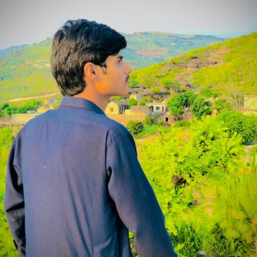 Syed A.