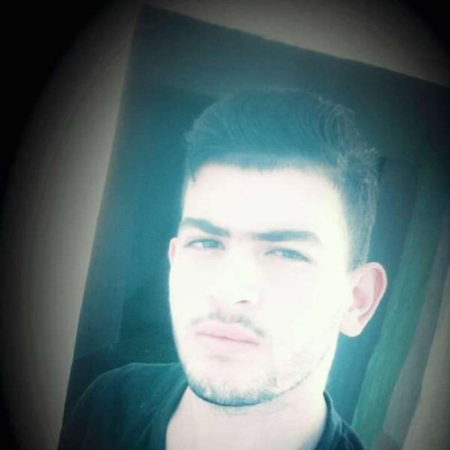 Jose P. profile photo