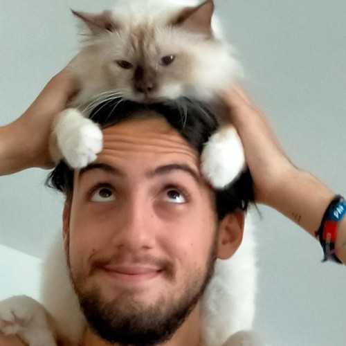 Matt P. profile photo