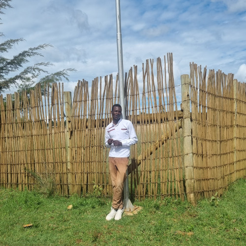 Ray K. profile photo