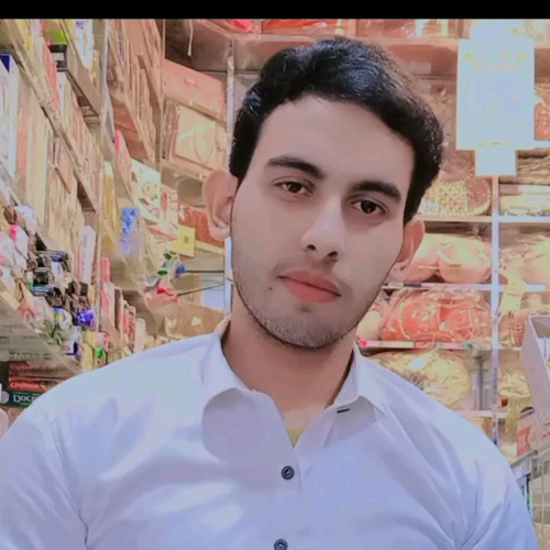 Haseeb U.