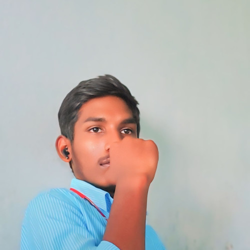 Dhara N. profile photo