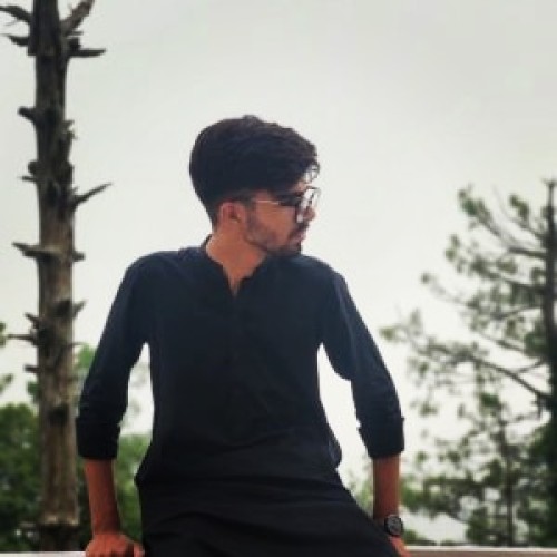 Hassaan M.