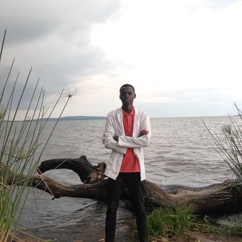 Paul O. profile photo