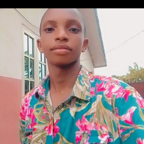 Emmanuel  N. profile photo