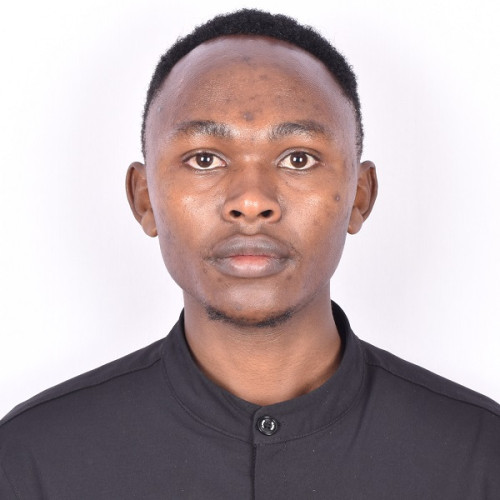 peter n. profile photo