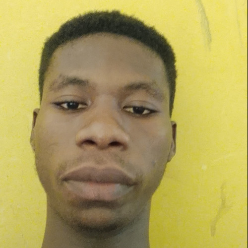 Ilegogie M.