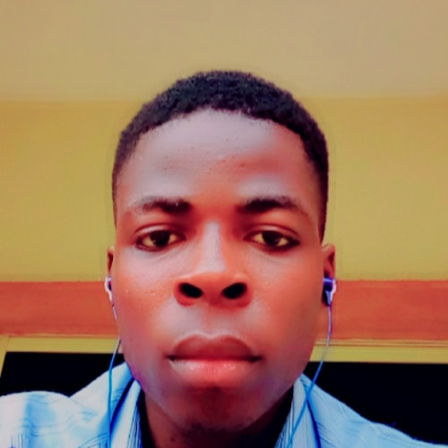 Onuegbulam S. profile photo