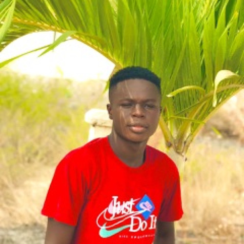 Emmanuel  A. profile photo