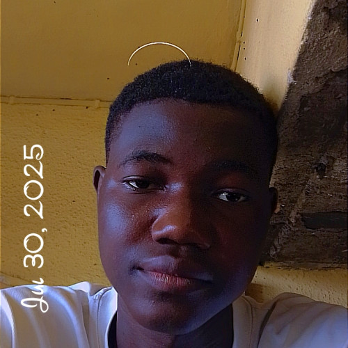 Emeka  A. profile photo