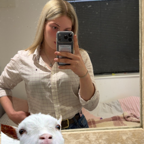 Laila S. profile photo