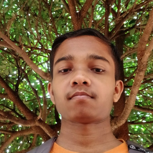 Xyz A. profile photo