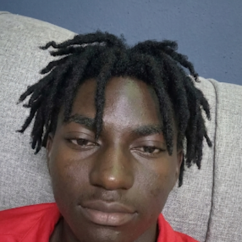 Semilogo O. profile photo