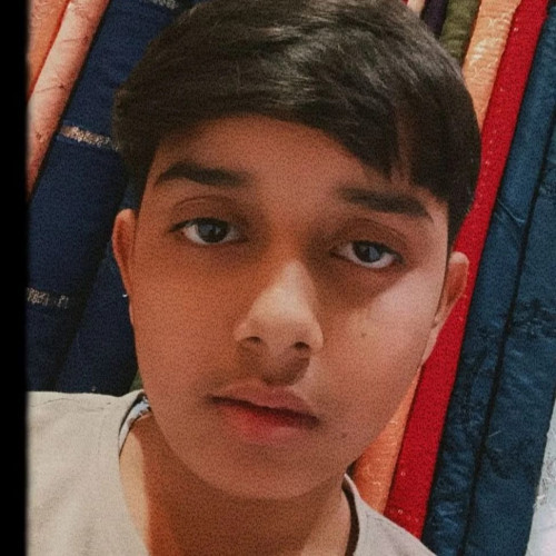 Nirbhay G. profile photo
