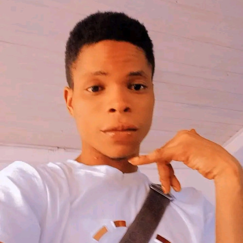 Pelumi S. profile photo