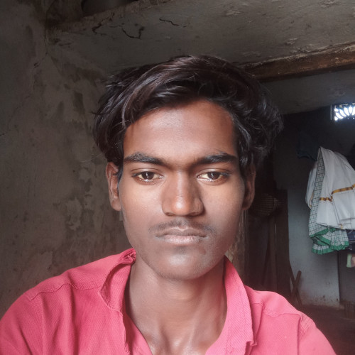 Mahesh M. profile photo