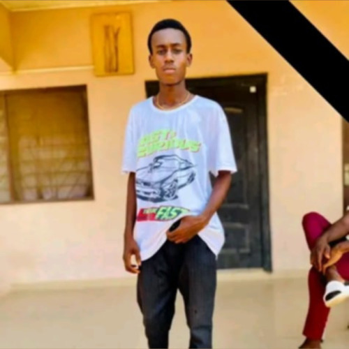 Gilbert D. profile photo