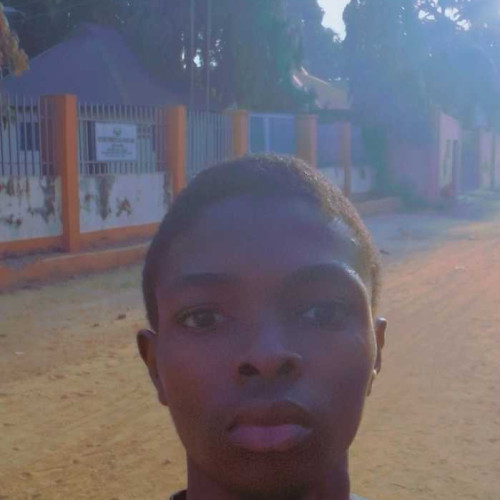 Davy A. profile photo