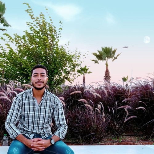 AZEDDINE N.