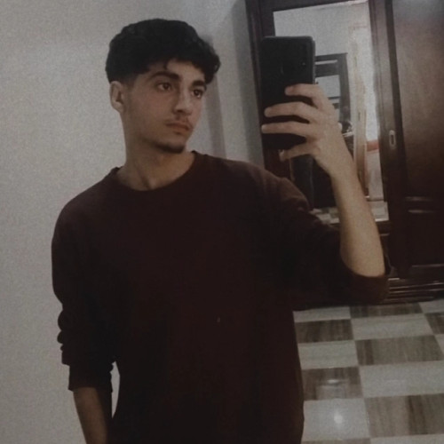 Amine F. profile photo