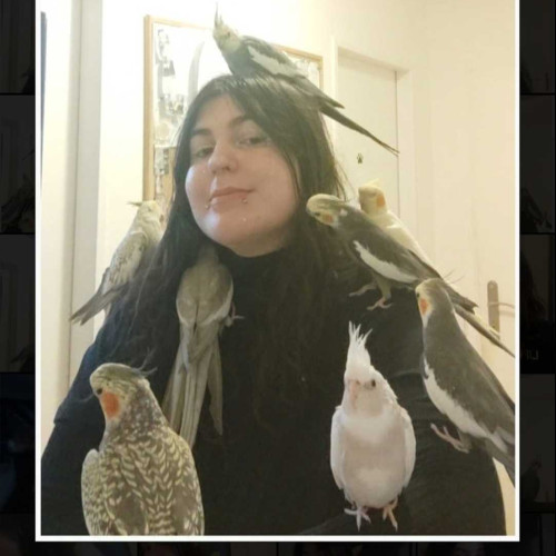 Myska C. profile photo