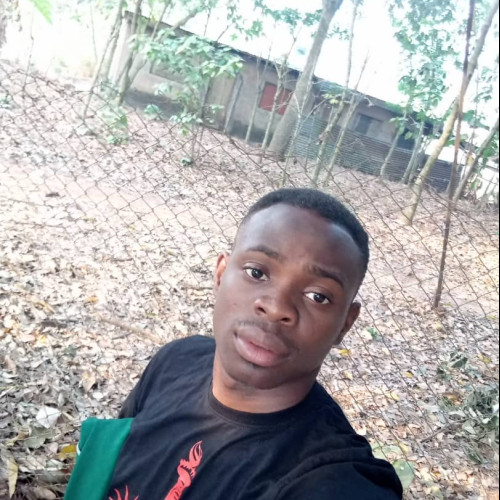 Guobadia O. profile photo
