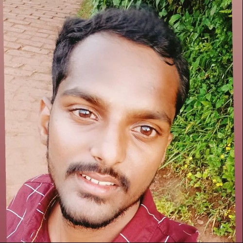 amit n.